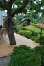 DSC_0011.JPG - 