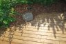 DSC_0081.JPG - 