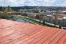 DSC_0086.JPG - 